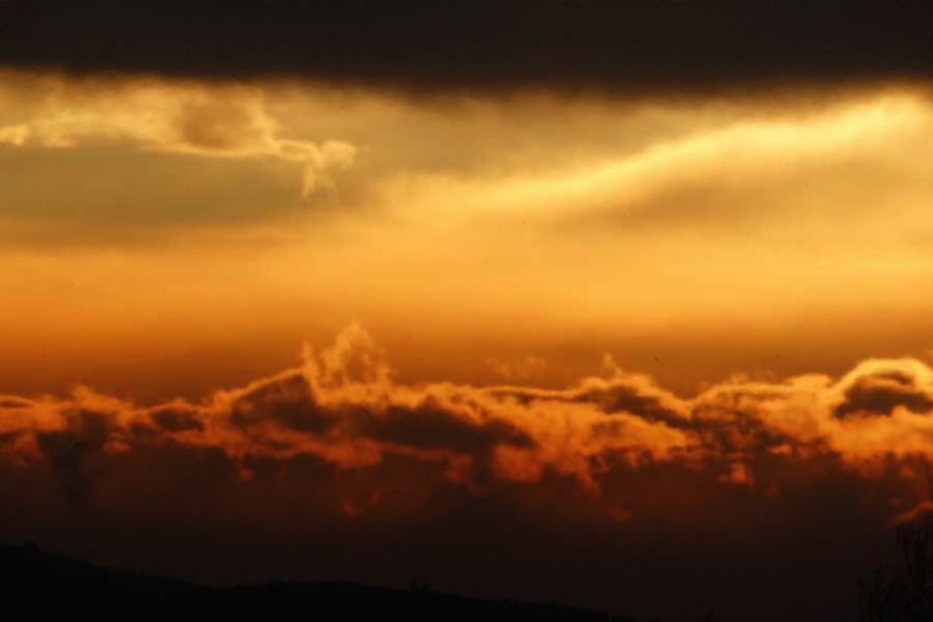 Nom de l'image : D1089810-nef_(c)Norbert-JUNG — Description :